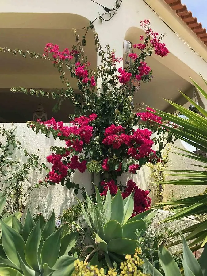 Cegonha Villa Powered By Cegonha Resort- Private Swimming Pool & Air Con Albufeira