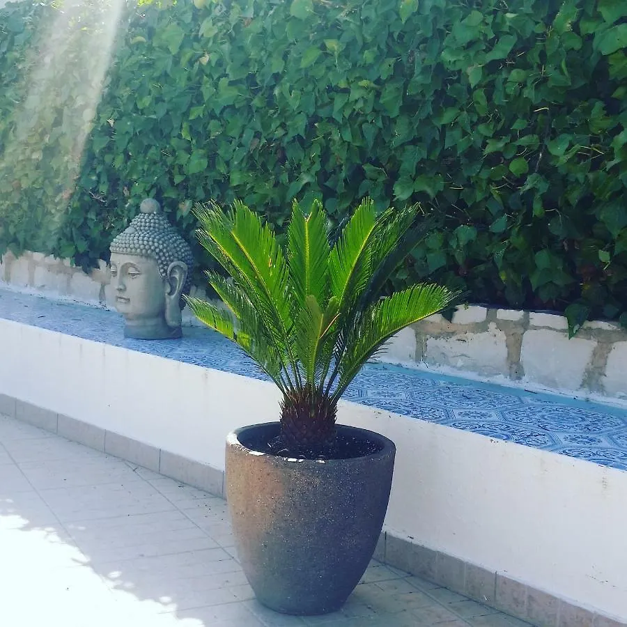 Cegonha Villa Powered By Cegonha Resort- Private Swimming Pool & Air Con Albufeira Portugal